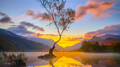 Download wallpaper 2048x1152 tree, reflection, lake, nature, mountains ...