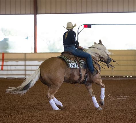 15 Holiday Activities In Waco - The Waco Things