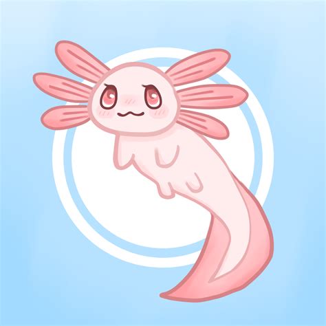 Axolotl Drawing