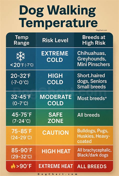 Dog Walking Temperatures Chart - How Hot Is Too Hot? Complete Guide ...