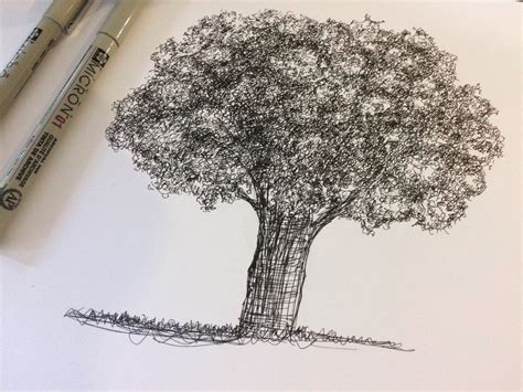 Image result for How to Draw a Simple Large Tree