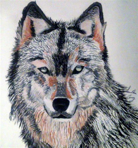 Beautiful Wolves Drawing 的图像结果