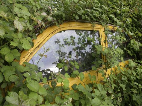 Donate my car? Here's the why, how, and where!