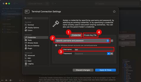 Compute Module Linux 的图像结果