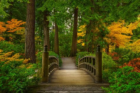 Nature Landscape Pictures 的图像结果