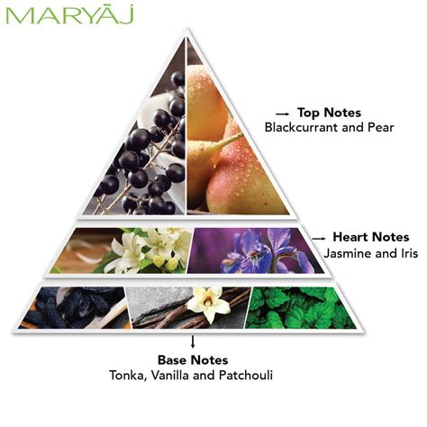 Buy MARYAJ TUXEDO FOR HIM EDP 100ML & COSMO GIRL FOR HER EDP 100ML PACK ...