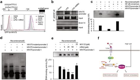 Image result for Krn2 Code
