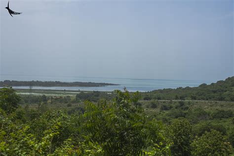 Ecosystem Of Odisha