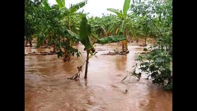 Heavy rainfall causes extensive crop and property damage in ...