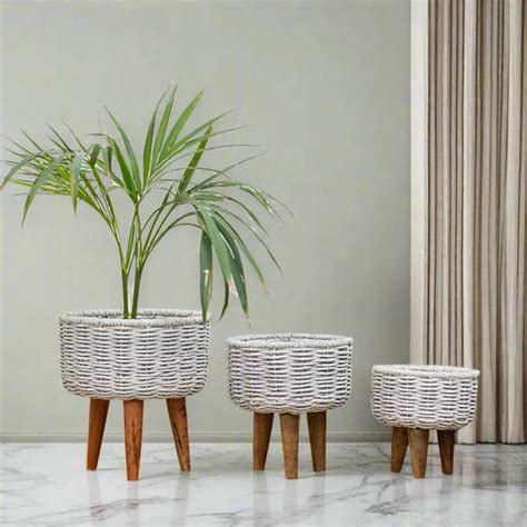 Planters – Ikkasa