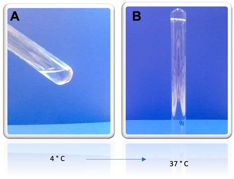 Pluronic® F127 Hydrogel Containing Silver Nanoparticles in Skin Burn ...