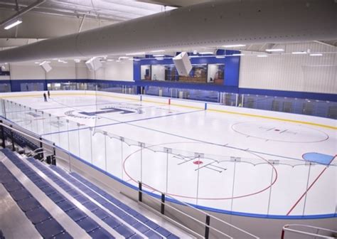 Trine University (Detroit, USA)