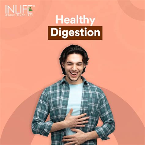 Buy INLIFE NATURAL VITAMIN C AMLA EXTRACT WITH ZINC FOR IMMUNITY & SKIN ...