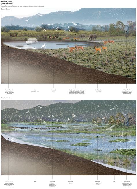 Connecting waters | CEPT - Portfolio