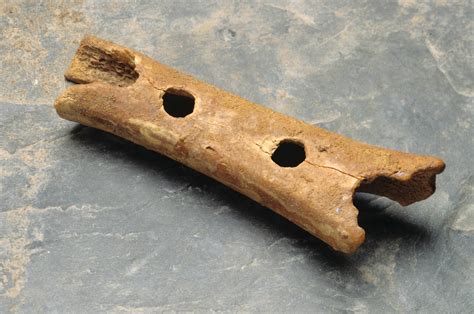 Uncovering The Earliest Known Flute: Origins Of Human Music