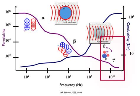Image result for Permittivity Sign