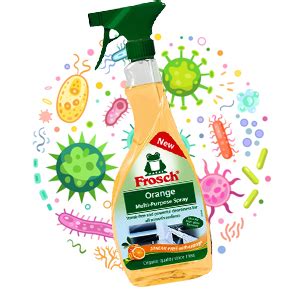 Frosch Orange Multi-Purpose Spray - 500 g : Amazon.in: Health ...