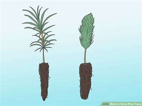Image result for Tutorial On Creating Pine Trees