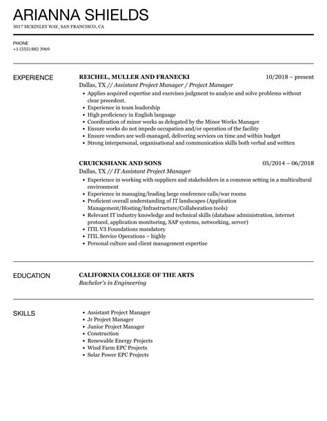 Assistant Project Manager