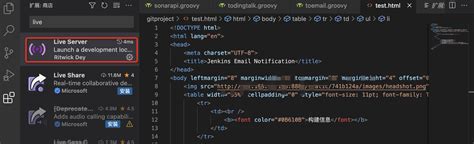 vs Code Live Preview HTML 的图像结果