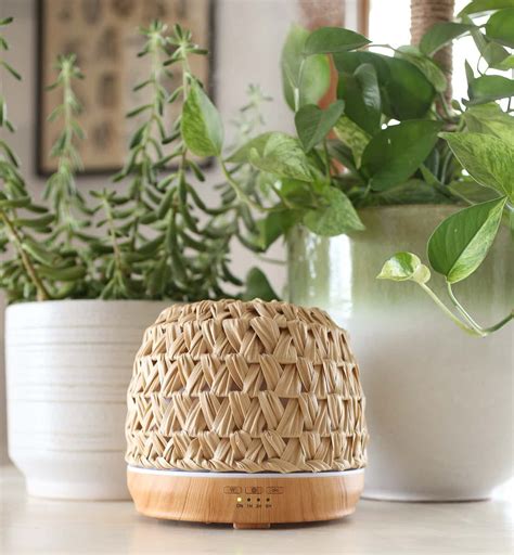 Image result for How to Clean doTERRA Diffuser