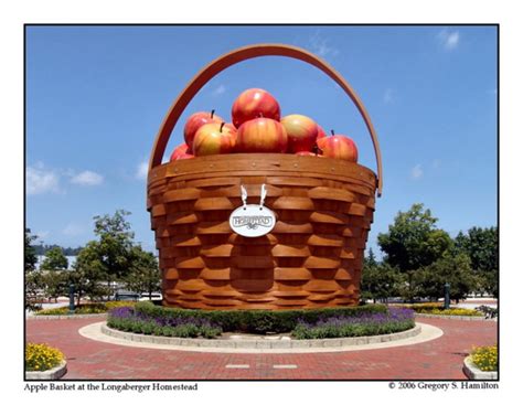 Image result for QuickTime Windows XP