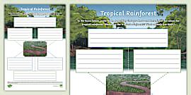 Helping the Rainforest Mind Map (teacher made) - Twinkl