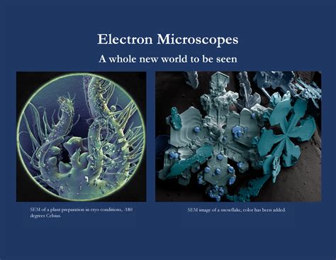 Electron Microscopes 656826 7 - Electron Microscopes A whole new world ...