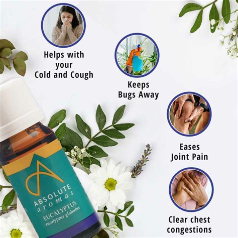 Eucalyptus Globulus Essential Oil | Aromas Eucalyptus Oil Uses