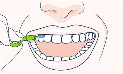 Clean Teeth: The Ultimate Guide | CURAPROX