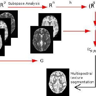 Algorithm System Overview 的图像结果