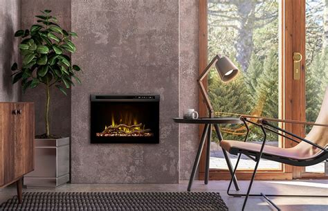 Image result for Dimplex Models