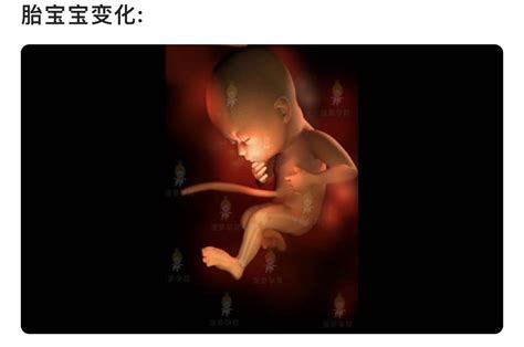 苏州借腹生子最低需要多少钱，孕28周胎盘二级正常吗_坤和试管中心
