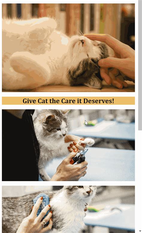 Learn CSS Grid while building a layout! 😺