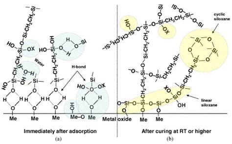 A Comprehensive Review on Processing, Development and Applications of ...