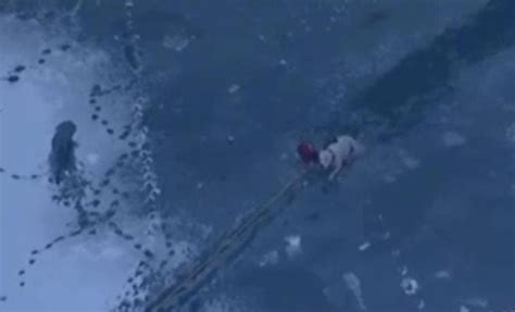 "Sampath Speaking" - the thoughts of an Insurer from Thiruvallikkeni ...