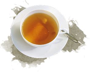 Welcome to the Official Website of Nathmull Tea .::. Nathmull Profile