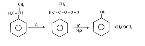 Explain the preparation of phenols from cumene.