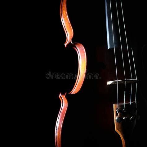 String Instruments 的图像结果