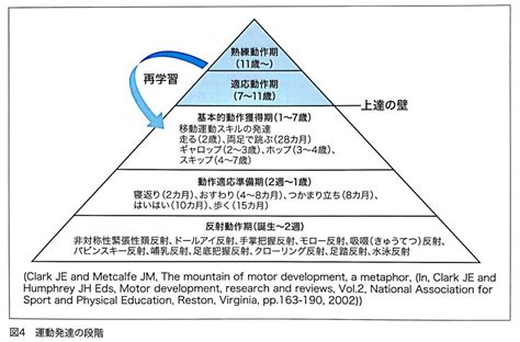 Image result for Sample Probability Experiment Examples