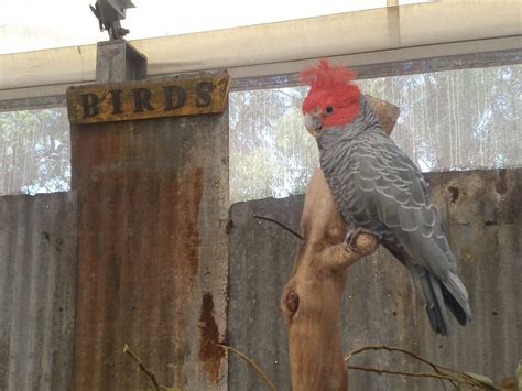 BEST OF PERTH TOURS (2026) All You Need to Know BEFORE You Go (with ...