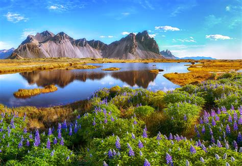 Buy Mountain Wallpaper for Walls Online At Best Price