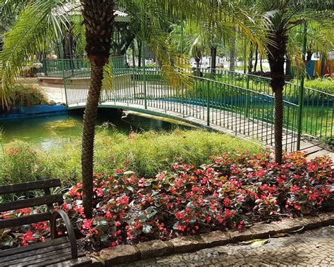 PRACA DOS COQUEIROS (2026) All You Need to Know BEFORE You Go (with ...