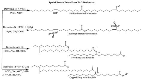 Fundamental Structure–Function Relationships in Vegetable Oil-Based ...