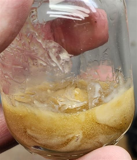 Fresh of the press. Some air dried bubble hash 75 % return hash to ...