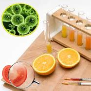 Life Technologies India: - FBS (foetal bovine serum, Fetal Bovine Serum ...