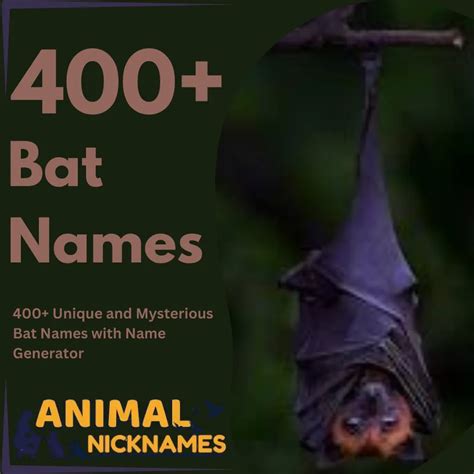 400+ Dolphin Names: Cool, Cute, & Unique Name Ideas - Animal Nicknames