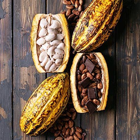 Rokit Pods | Organic Japanese Green Matcha & Cacao | Nespresso Coffee ...