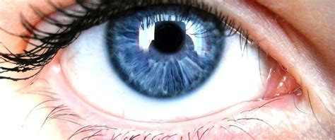 Image result for Eye Exercises for Using Computer