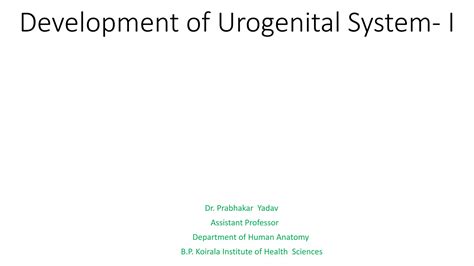 Development of urogenital system I | PPTX
